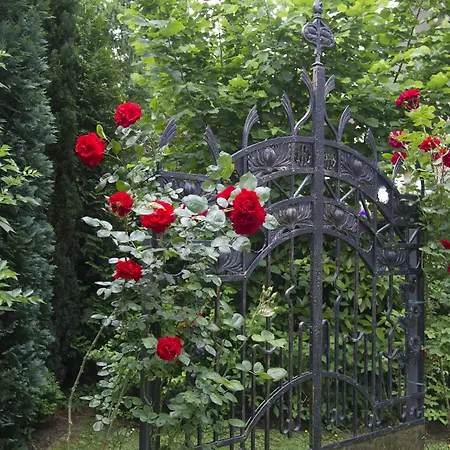 Boutiquehotel Dreesen - Godesberg Отель 4*